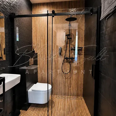 Black Salt Apartman Wieliczka
